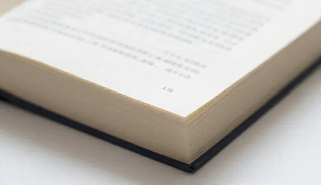 prompt最常用的翻译在文生图中的实际应用问题