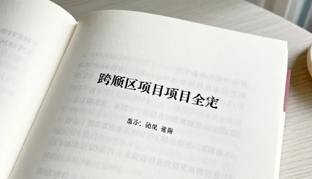 AI提示词大全:定制化提示词的检查要点与使用技巧